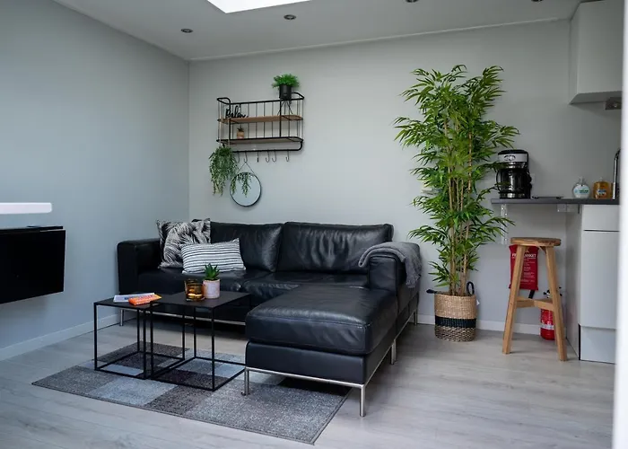 Aloha Beach House! (Noordwijk-Amsterdam)